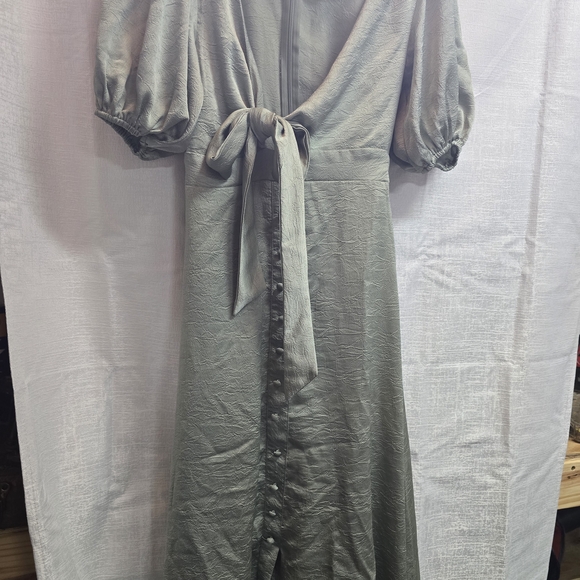 Petal & Pup Dresses & Skirts - Petal & Pup Sage Dress